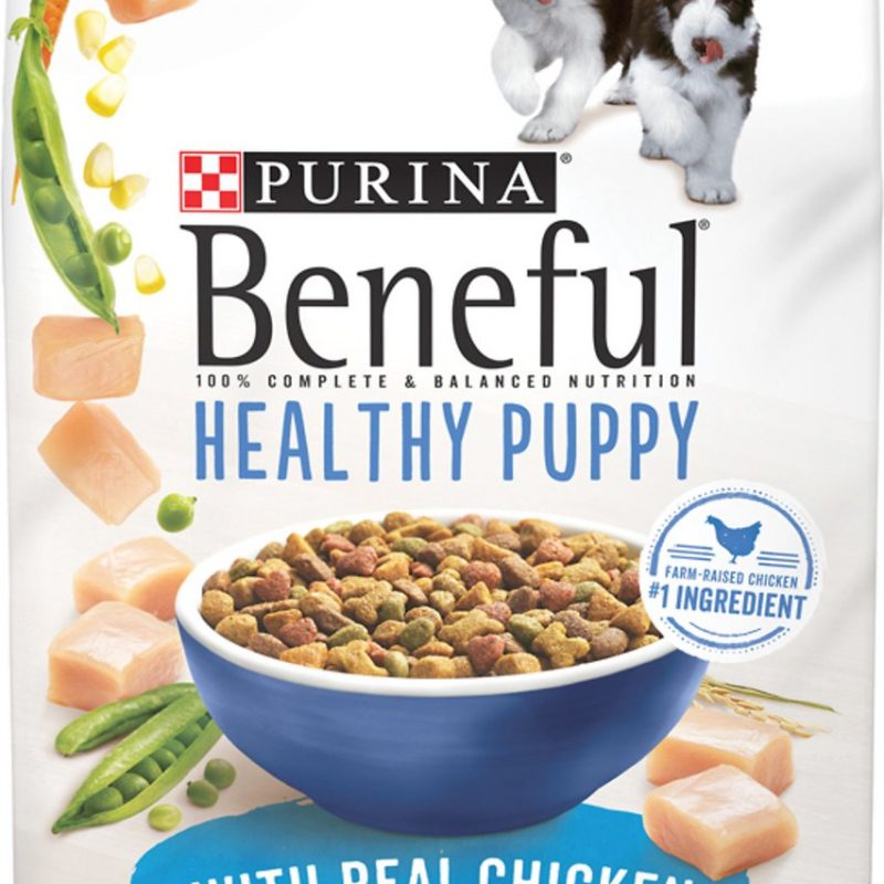 BENEFUL CACHORRO HEALTHY 2KG