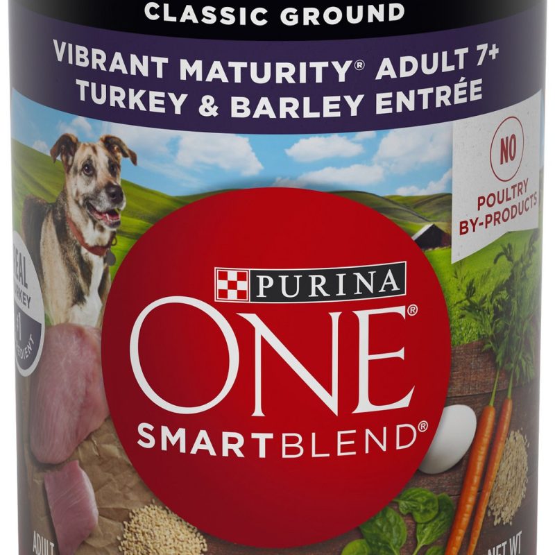 ONE SMART BLEND CLASSIC Turkey and Barley Canned Dog 13oz