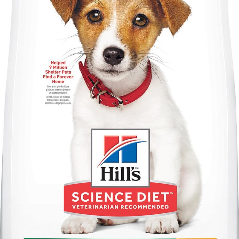 SCIENCE DIET PUPPY SMALL BITES 15.5 LB