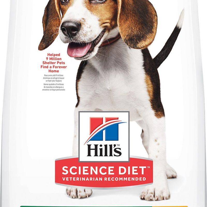 SCIENCE DIET PUPPY DEVELOPMENT 15.5 LB