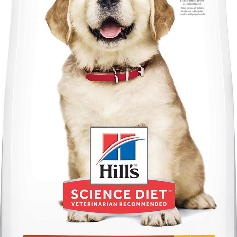 SCIENCE DIET PUPPY LARGE BREED 30 lb