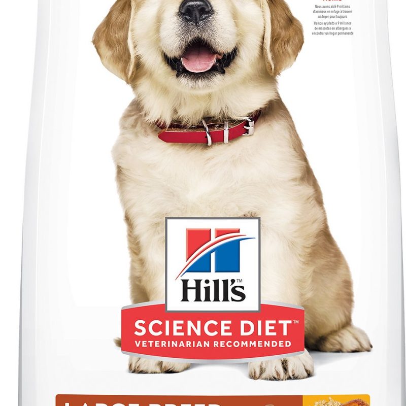 SCIENCE DIET PUPPY LARGE BREED 15.5 LB