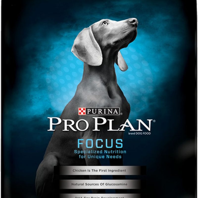 PRO PLAN FOCUS PUPPY LARGE BREED 34Lb