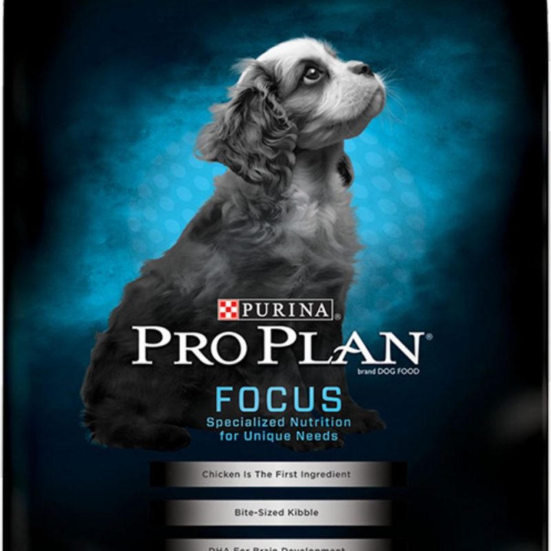 PRO PLAN FOCUS PUPPY SMALL BREED 18Lb