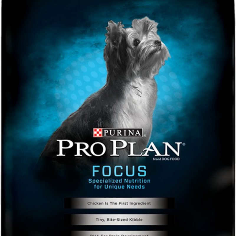 PRO PLAN FOCUS PUPPY TOY BREED 5Lb