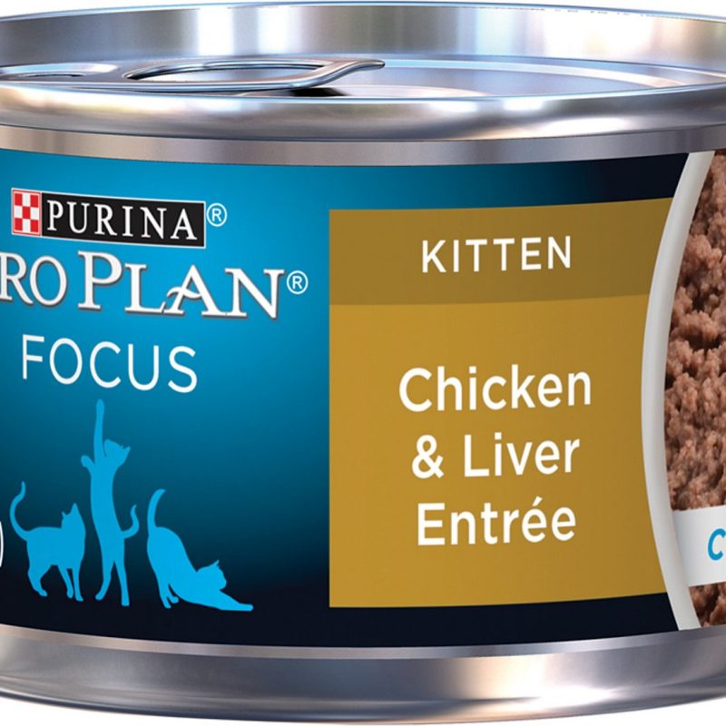 PRO PLAN FOCUS KITTEN CHICKEN AND LIVER CANNED CAT 3oz