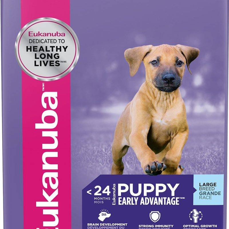 EUKANUBA PUPPY LARGE BREED 15 KG