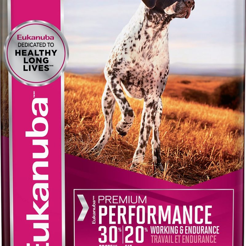 EUKANUBA PREMIUM PERFORMANCE 20 KG