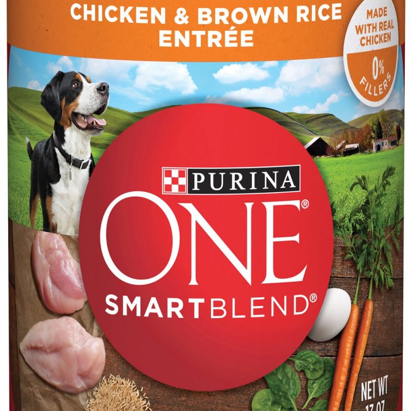 ONE SMART BLEND TENDER CLASSIC GRAVY Chicken and Brown Rice Canned Dog 13oz