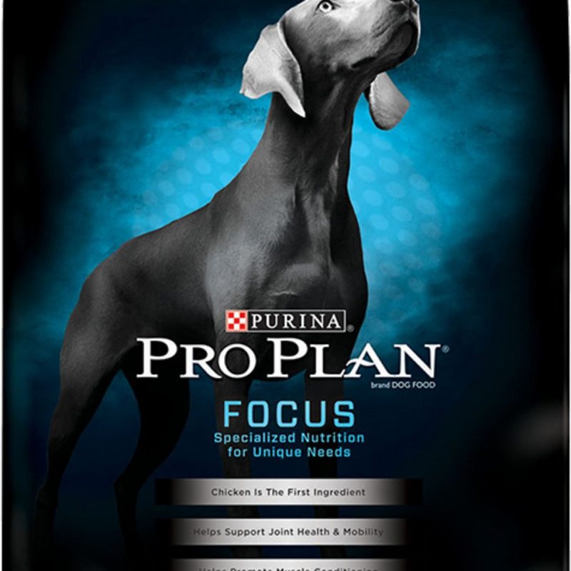 PRO PLAN FOCUS ADULT LARGE BREED DOG 18Lb