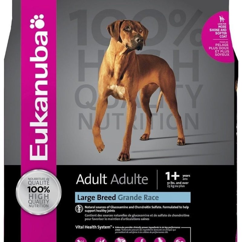 EUKANUBA LARGE BREED ADULT 20 KG
