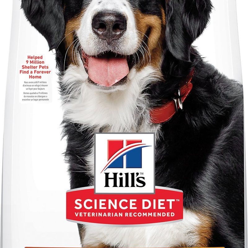 SCIENCE DIET ADULT LARGE BREED 17.5 lb