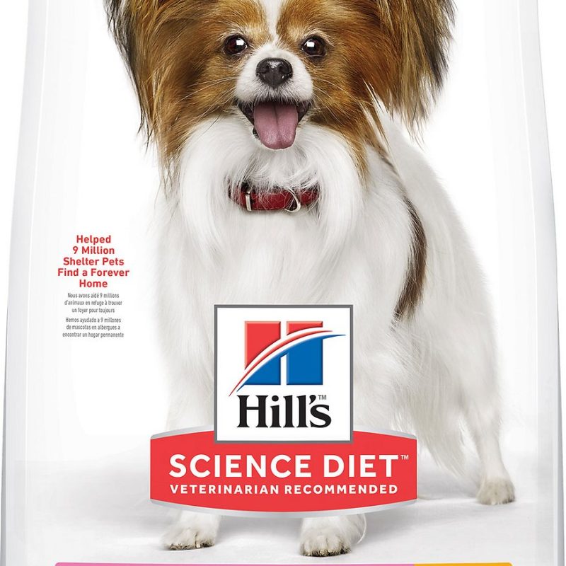 SCIENCE DIET CANINE ADULT LIGHT SMALL & TOY BREED 4.5 LB