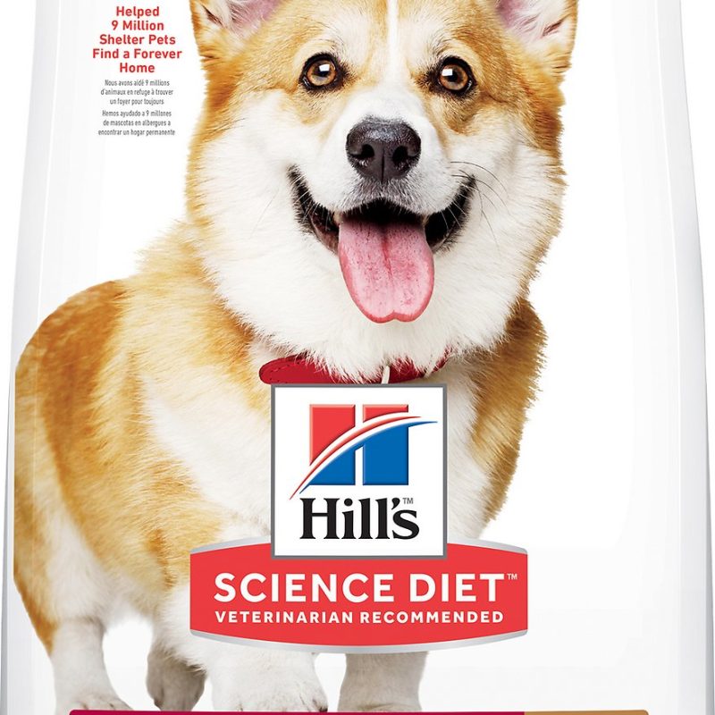 SCIENCE DIET CANINE ADULT ADVANCED FITNESS LAMB & RICE SMALL BITES 4.5 LB