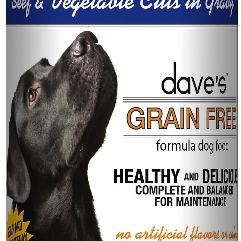 DAVES BEEF & VEGETABLE IN GRAVY GF 13OZ