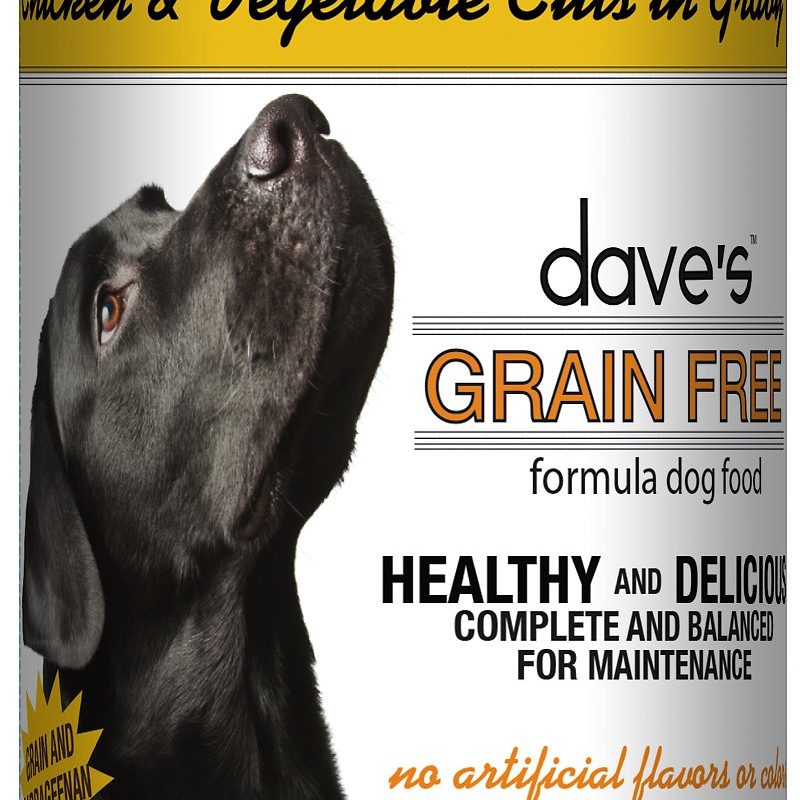 DAVES CHICKEN & VEGETABLE IN GRAVY GF 13OZ