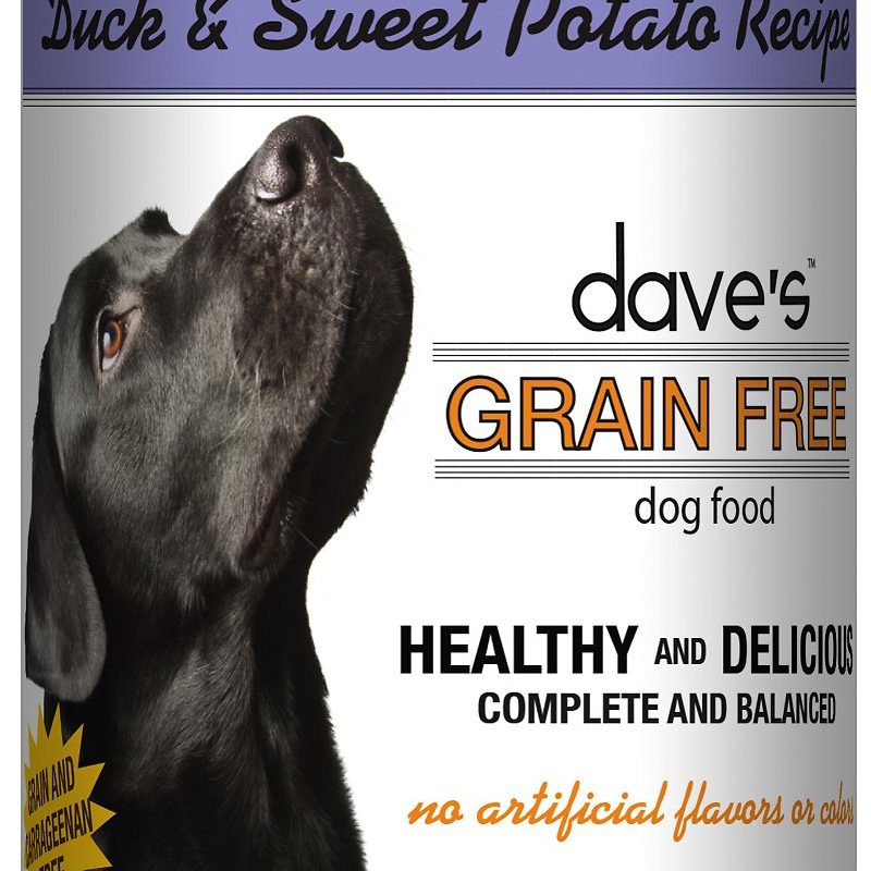 DAVES DUCK & SWEET POTATO GF 13OZ