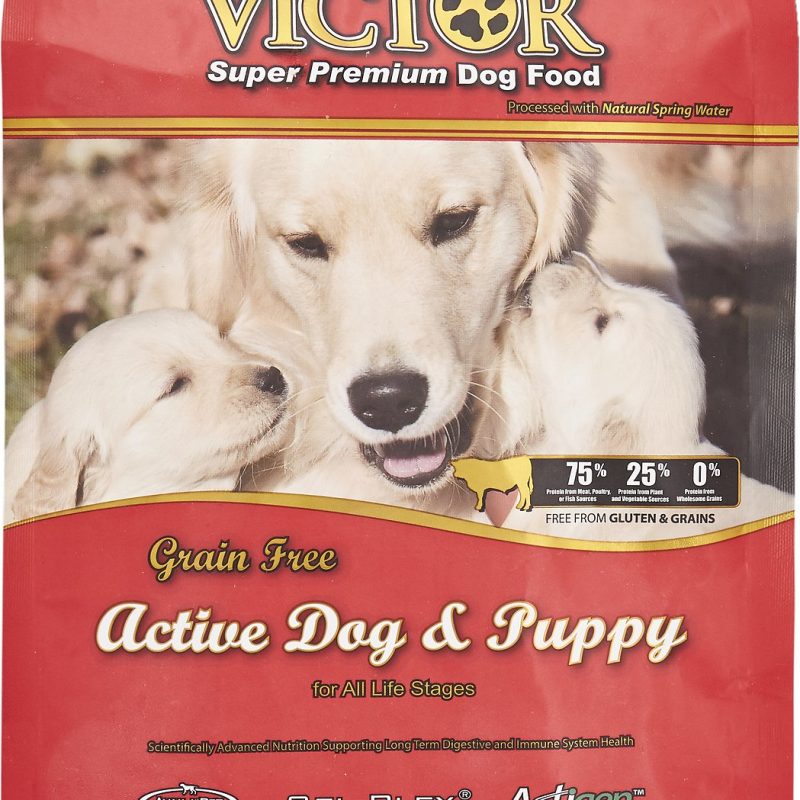 VICTOR GF ACTIVE 5LB